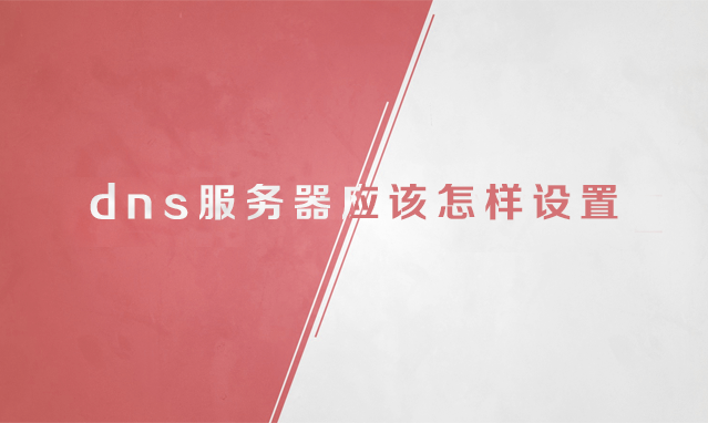 dns����(w��)��