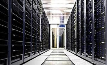 ����(w��)������