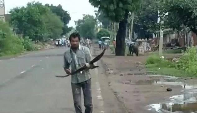 男子遭烏鴉追3年 男子希望時(shí)間能夠沖淡仇恨讓烏鴉們?cè)徦? /> 
</p>
<p style=