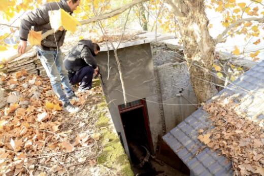 上饒瘋公牛傷人 事件最后是怎么處理的？